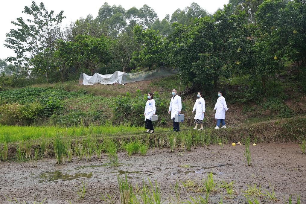 
北大医院黄牛代挂号电话票贩子号贩子网上预约挂号,住院检查加快,新华全媒+丨乡镇卫生院来了县里“大医生”——重庆垫江“县管乡用”破解基层医卫人才难题