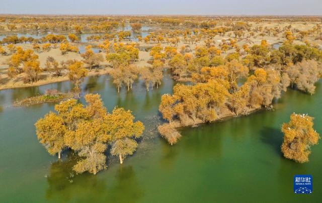 
湖南中医附一医院黄牛代挂号电话票贩子号贩子网上预约挂号,住院检查加快,新华全媒+｜新疆：“三山两盆”孕育湿地之美