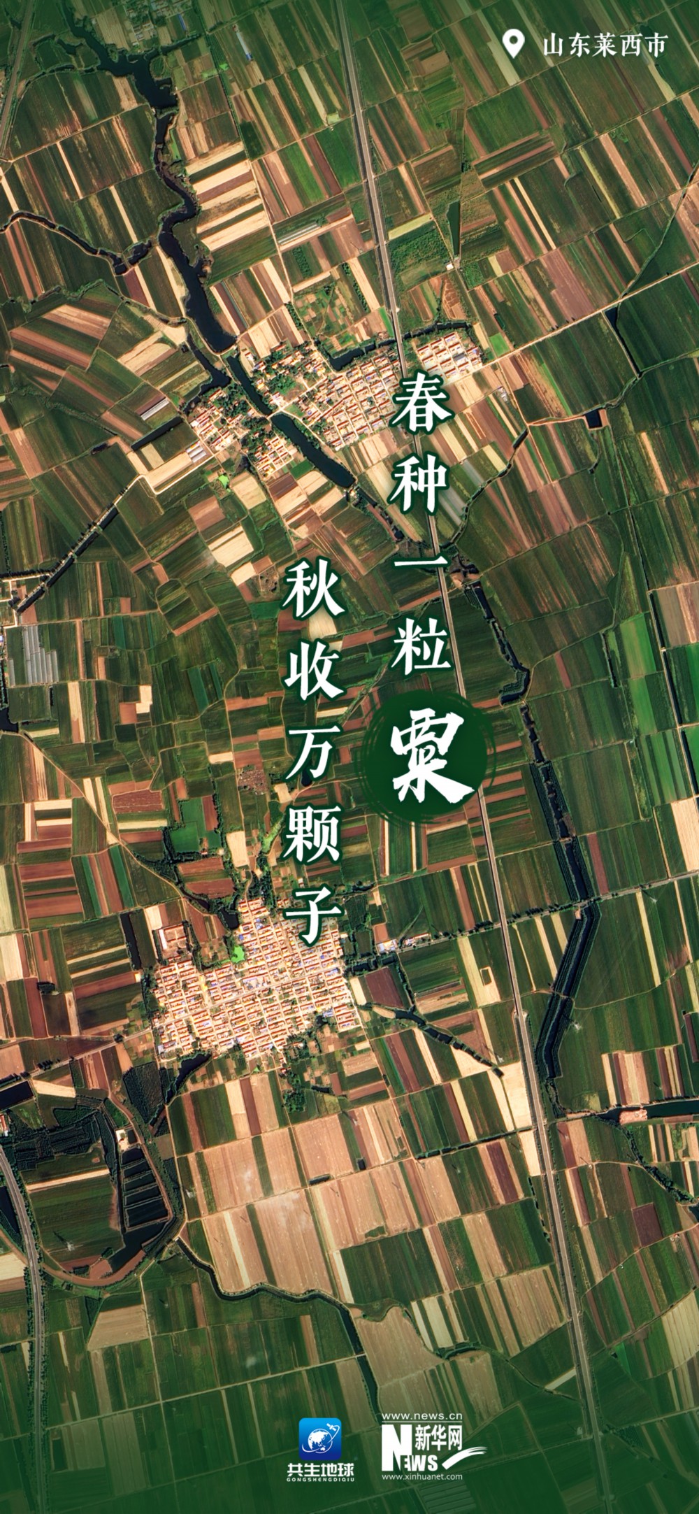 
浙江省同德医院黄牛代挂号电话票贩子号贩子网上预约挂号,住院检查加快,卫星瞰田｜广袤田野奏出“丰收之歌”