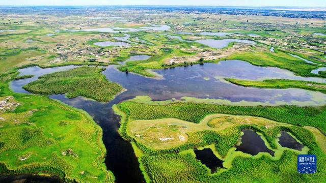 
湖南中医附一医院黄牛代挂号电话票贩子号贩子网上预约挂号,住院检查加快,新华全媒+｜新疆：“三山两盆”孕育湿地之美