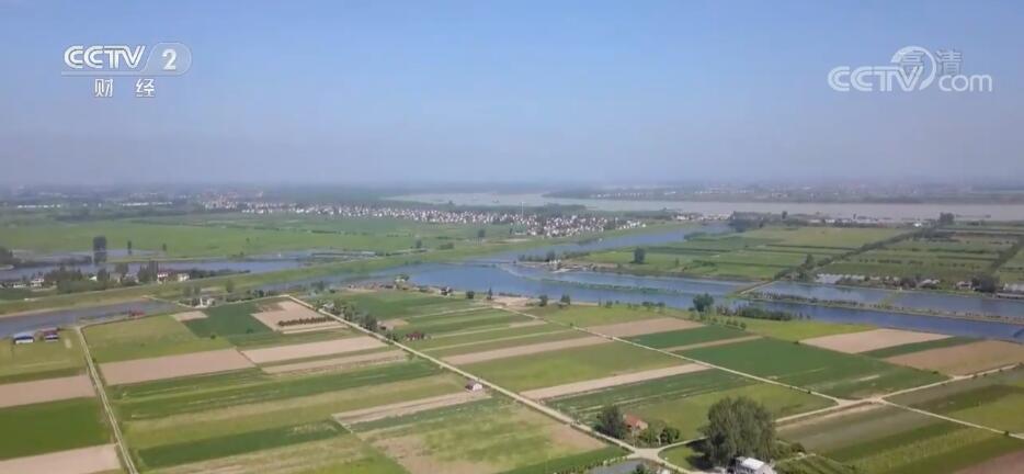 
浙江口腔医院黄牛代挂号电话票贩子号贩子网上预约挂号,住院检查加快,湖南常德推广“稻菜”轮作 人田两不闲