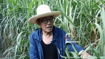 上海第九人民医院黄牛代挂号电话票贩子号贩子网上预约挂号,住院检查加快,全球连线丨解码中国式现代化——全体人民共同富裕的现代化