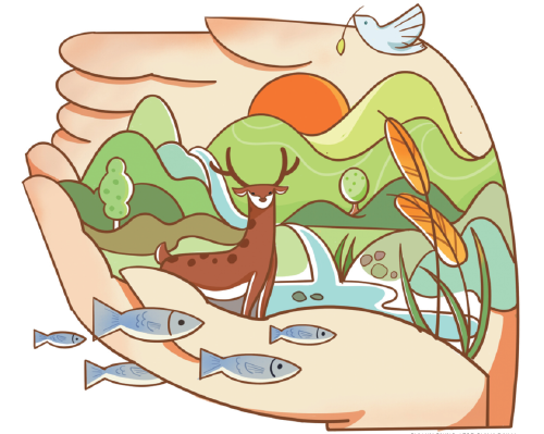 
上海中山医院黄牛代挂号电话票贩子号贩子网上预约挂号,住院检查加快,中国是全球湿地保护和合理利用的积极践行者