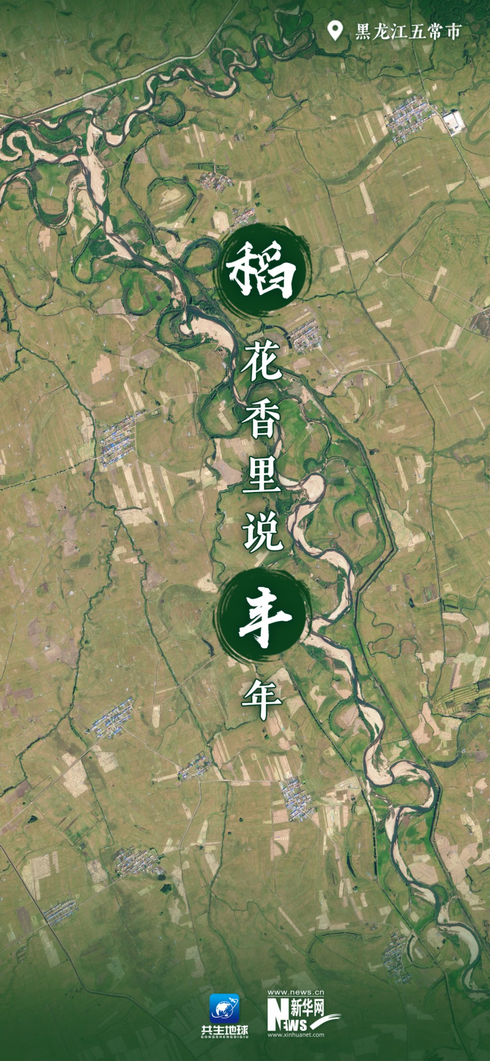 
浙江省同德医院黄牛代挂号电话票贩子号贩子网上预约挂号,住院检查加快,卫星瞰田｜广袤田野奏出“丰收之歌”