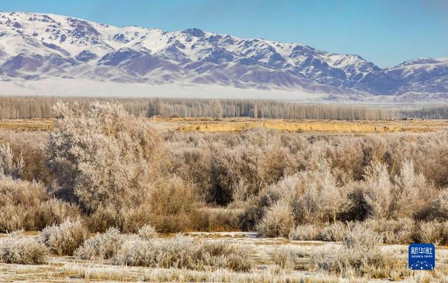 
湖南中医附一医院黄牛代挂号电话票贩子号贩子网上预约挂号,住院检查加快,新华全媒+｜新疆：“三山两盆”孕育湿地之美