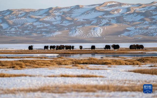
湖南中医附一医院黄牛代挂号电话票贩子号贩子网上预约挂号,住院检查加快,新华全媒+｜新疆：“三山两盆”孕育湿地之美