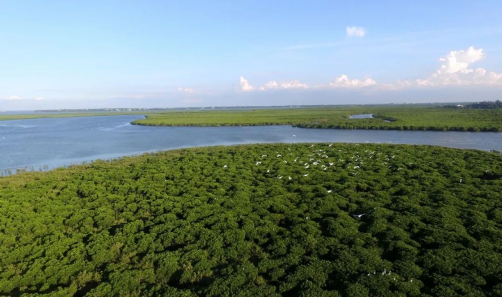 
上海中山医院黄牛代挂号电话票贩子号贩子网上预约挂号,住院检查加快,中国是全球湿地保护和合理利用的积极践行者