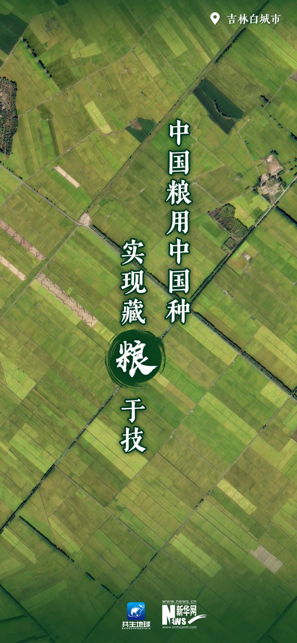 
浙江省同德医院黄牛代挂号电话票贩子号贩子网上预约挂号,住院检查加快,卫星瞰田｜广袤田野奏出“丰收之歌”