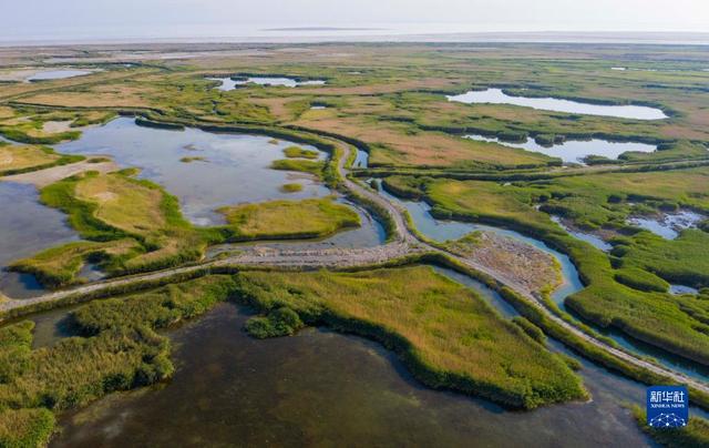 
湖南中医附一医院黄牛代挂号电话票贩子号贩子网上预约挂号,住院检查加快,新华全媒+｜新疆：“三山两盆”孕育湿地之美