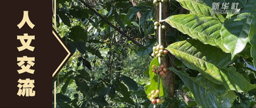 
北京儿童医院黄牛代挂号电话票贩子号贩子网上预约挂号,住院检查加快,微视频｜春风暖世界