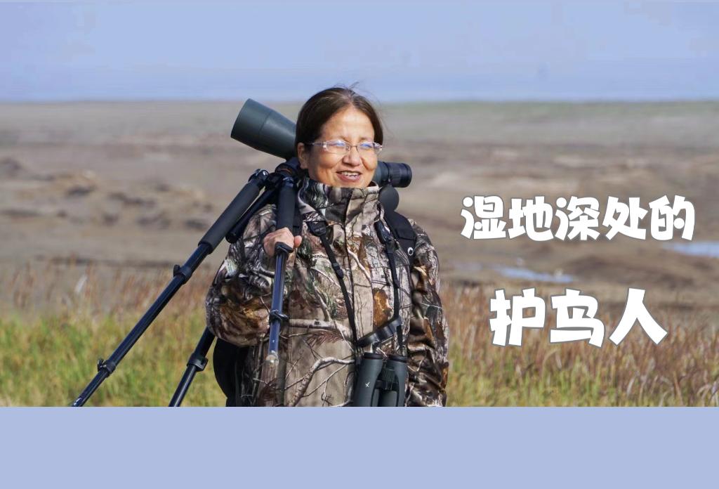 
广东省中医院黄牛代挂号电话票贩子号贩子网上预约挂号,住院检查加快,新华全媒+｜湿地深处的护鸟人