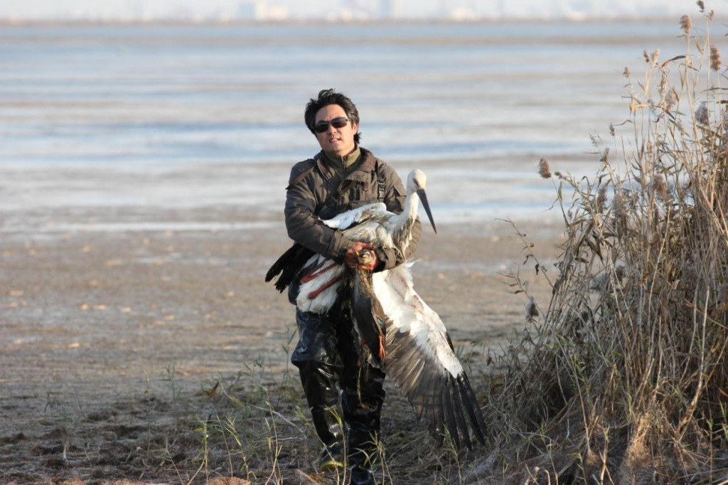 北医六院黄牛代挂号电话票贩子号贩子网上预约挂号,住院检查加快,湿地守望者丨老马和他的北大港