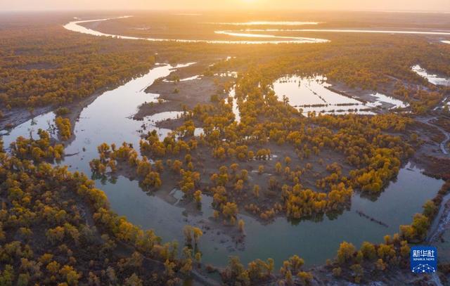 
湖南中医附一医院黄牛代挂号电话票贩子号贩子网上预约挂号,住院检查加快,新华全媒+｜新疆：“三山两盆”孕育湿地之美