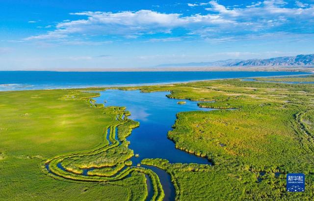 
湖南中医附一医院黄牛代挂号电话票贩子号贩子网上预约挂号,住院检查加快,新华全媒+｜新疆：“三山两盆”孕育湿地之美