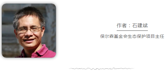 
上海中山医院黄牛代挂号电话票贩子号贩子网上预约挂号,住院检查加快,中国是全球湿地保护和合理利用的积极践行者