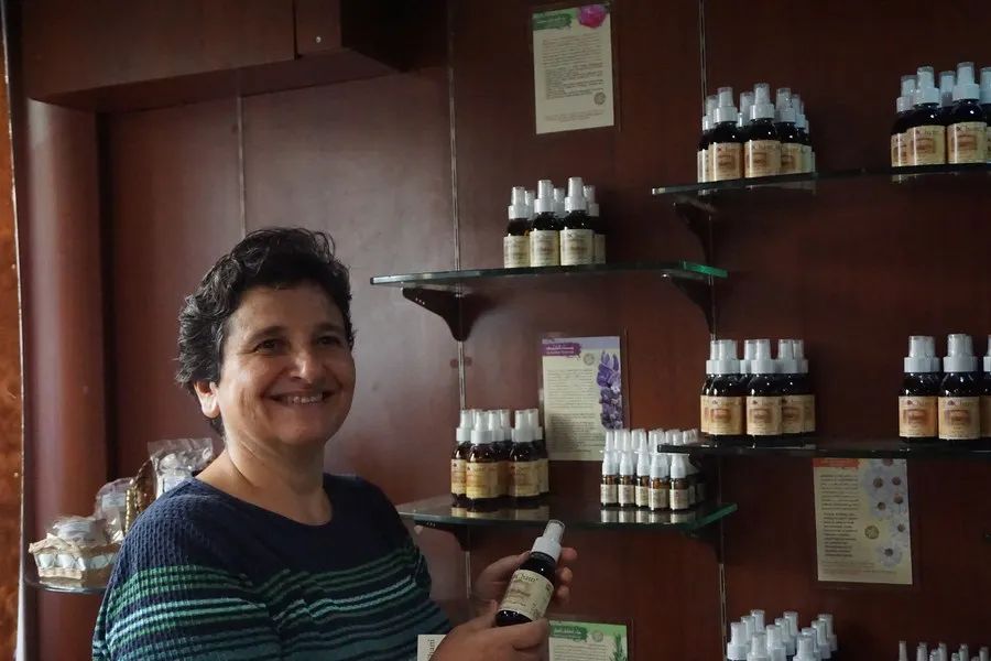 
南京金陵医院黄牛代挂号电话票贩子号贩子网上预约挂号,住院检查加快,大马士革玫瑰的5年“进博缘”