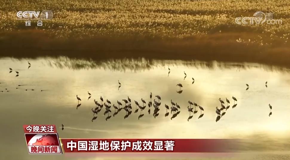 
湖南中医附一医院黄牛代挂号电话票贩子号贩子网上预约挂号,住院检查加快,一组数据走进我国的湿地保护