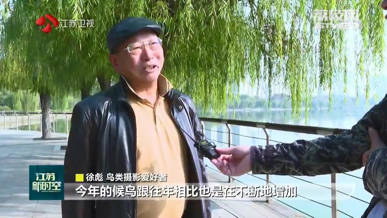 
北京鼓楼医院孙凌云黄牛代挂号电话票贩子号贩子网上预约挂号,住院检查加快,候鸟迁徙过境江苏 好生态引来众鸟栖息