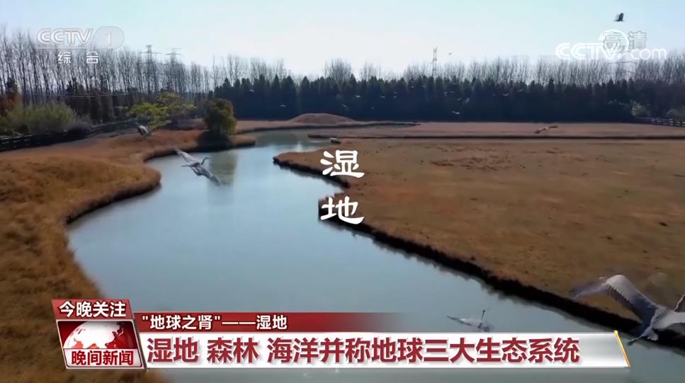 
北京中日友好医院黄牛代挂号电话票贩子号贩子网上预约挂号,住院检查加快,到底什么是湿地？一起去揭开它神秘的面纱