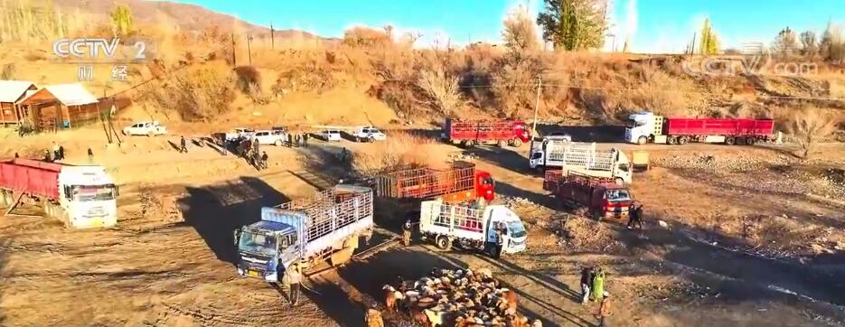 
回龙观医院黄牛代挂号电话票贩子号贩子网上预约挂号,住院检查加快,新疆塔城15.2万头牲畜搭上“专车”去过冬