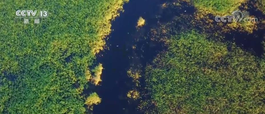 
上海第九人民医院黄牛代挂号电话票贩子号贩子网上预约挂号,住院检查加快,中国三十年履约 守约 践约的背后