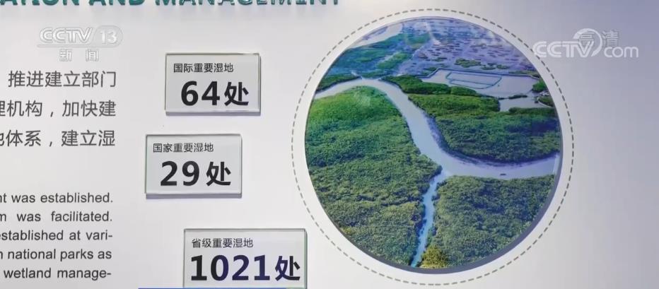 
上海第九人民医院黄牛代挂号电话票贩子号贩子网上预约挂号,住院检查加快,中国三十年履约 守约 践约的背后