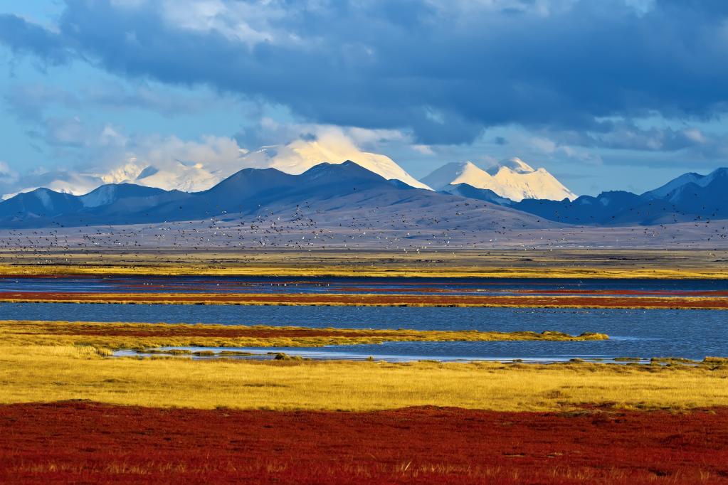 
北医六院黄牛代挂号电话票贩子号贩子网上预约挂号,住院检查加快,在水一方 大美湿地