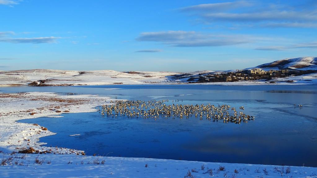 
北医六院黄牛代挂号电话票贩子号贩子网上预约挂号,住院检查加快,在水一方 大美湿地
