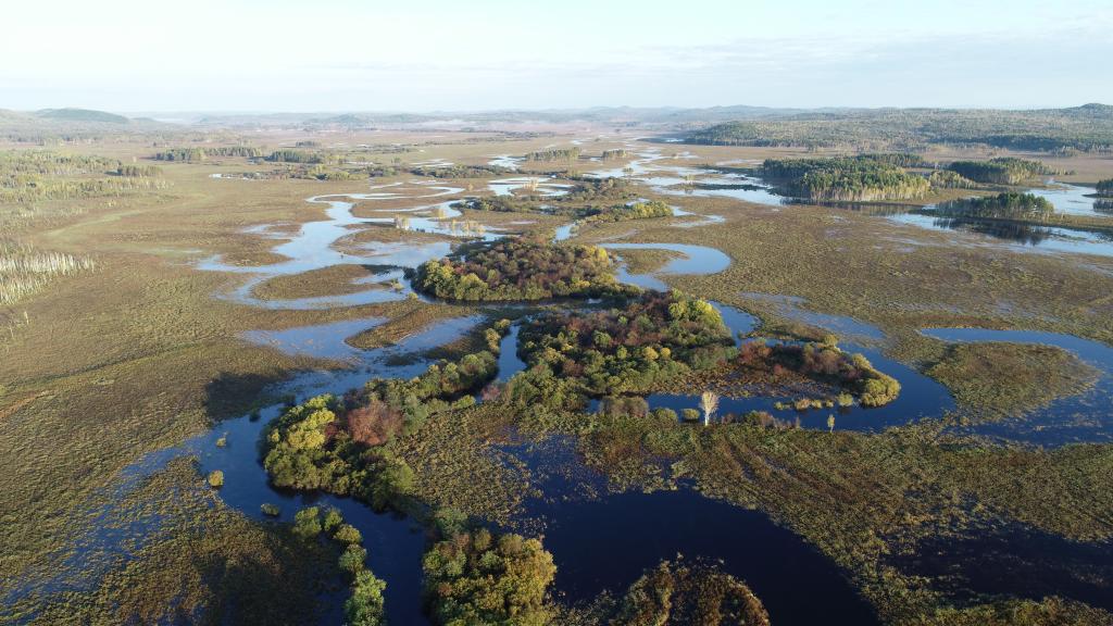 
北医六院黄牛代挂号电话票贩子号贩子网上预约挂号,住院检查加快,在水一方 大美湿地