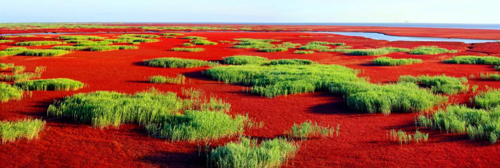 
北医六院黄牛代挂号电话票贩子号贩子网上预约挂号,住院检查加快,在水一方 大美湿地