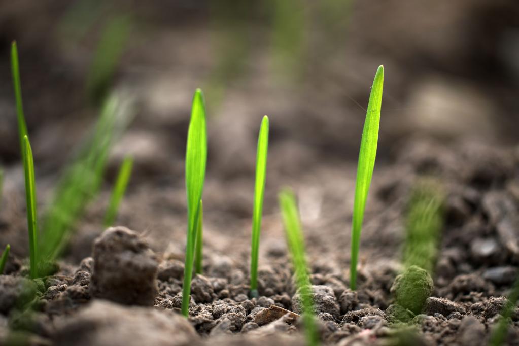 
长沙各大医院黄牛代挂号电话票贩子号贩子网上预约挂号,住院检查加快,立冬：蓄能积势，孕育未来