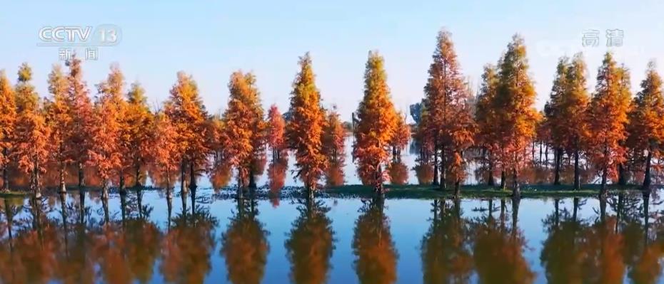 
上海第九人民医院黄牛代挂号电话票贩子号贩子网上预约挂号,住院检查加快,中国三十年履约 守约 践约的背后