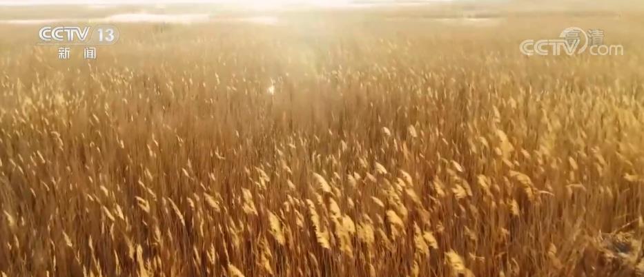 
上海第九人民医院黄牛代挂号电话票贩子号贩子网上预约挂号,住院检查加快,中国三十年履约 守约 践约的背后