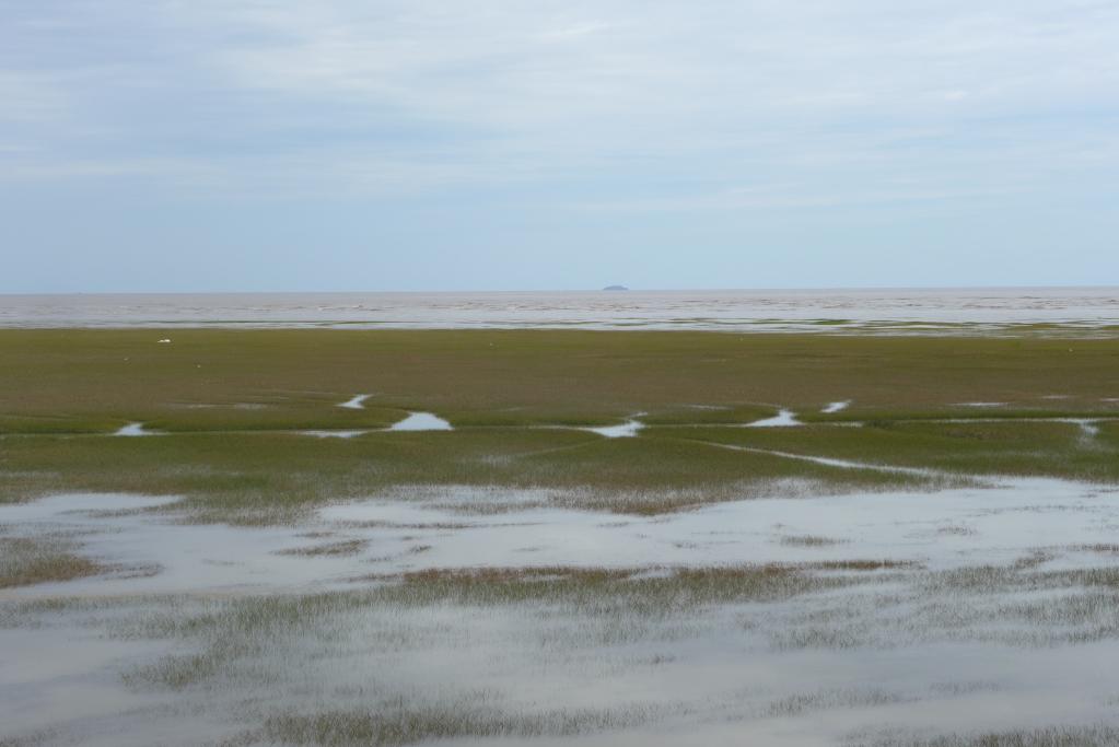 
北医六院黄牛代挂号电话票贩子号贩子网上预约挂号,住院检查加快,在水一方 大美湿地