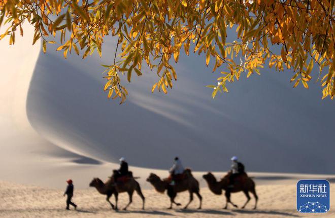 
长沙湘雅医院黄牛代挂号电话票贩子号贩子网上预约挂号,住院检查加快,甘肃敦煌：秋色润鸣沙 月泉景如画