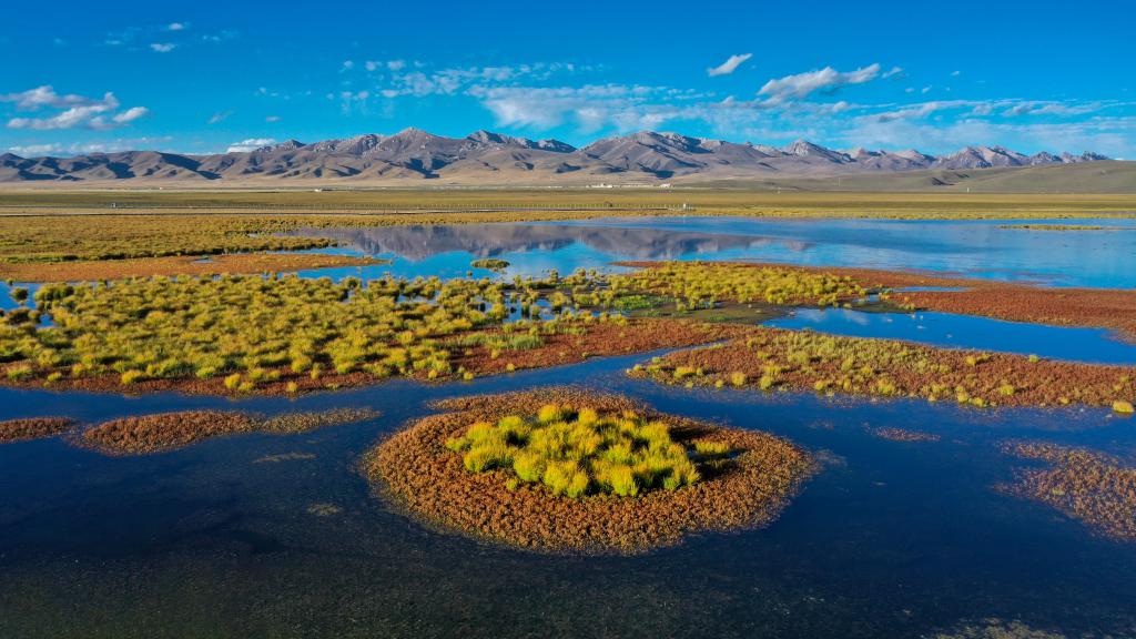 
北医六院黄牛代挂号电话票贩子号贩子网上预约挂号,住院检查加快,在水一方 大美湿地