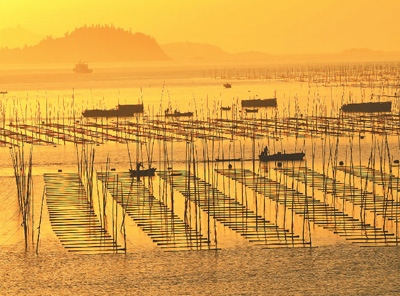 
中山大学孙逸仙纪念医院黄牛代挂号电话票贩子号贩子网上预约挂号,住院检查加快,“海上菜园”丰收忙（侨乡新貌）