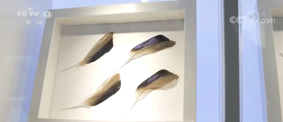 
上海第九人民医院黄牛代挂号电话票贩子号贩子网上预约挂号,住院检查加快,中国三十年履约 守约 践约的背后