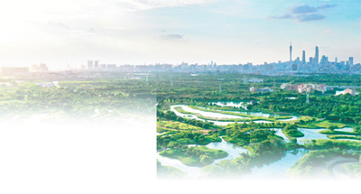 
北京302医院黄牛代挂号电话票贩子号贩子网上预约挂号,住院检查加快,各方协力 守护湿地（美丽中国）