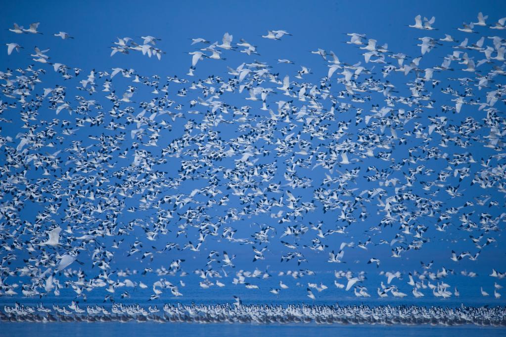 
北医六院黄牛代挂号电话票贩子号贩子网上预约挂号,住院检查加快,在水一方 大美湿地