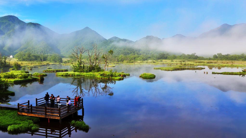 
北医六院黄牛代挂号电话票贩子号贩子网上预约挂号,住院检查加快,在水一方 大美湿地