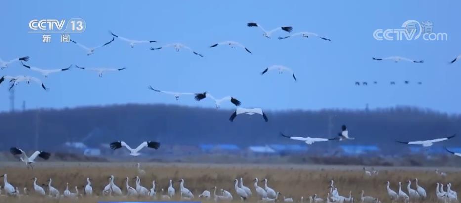 
上海第九人民医院黄牛代挂号电话票贩子号贩子网上预约挂号,住院检查加快,中国三十年履约 守约 践约的背后