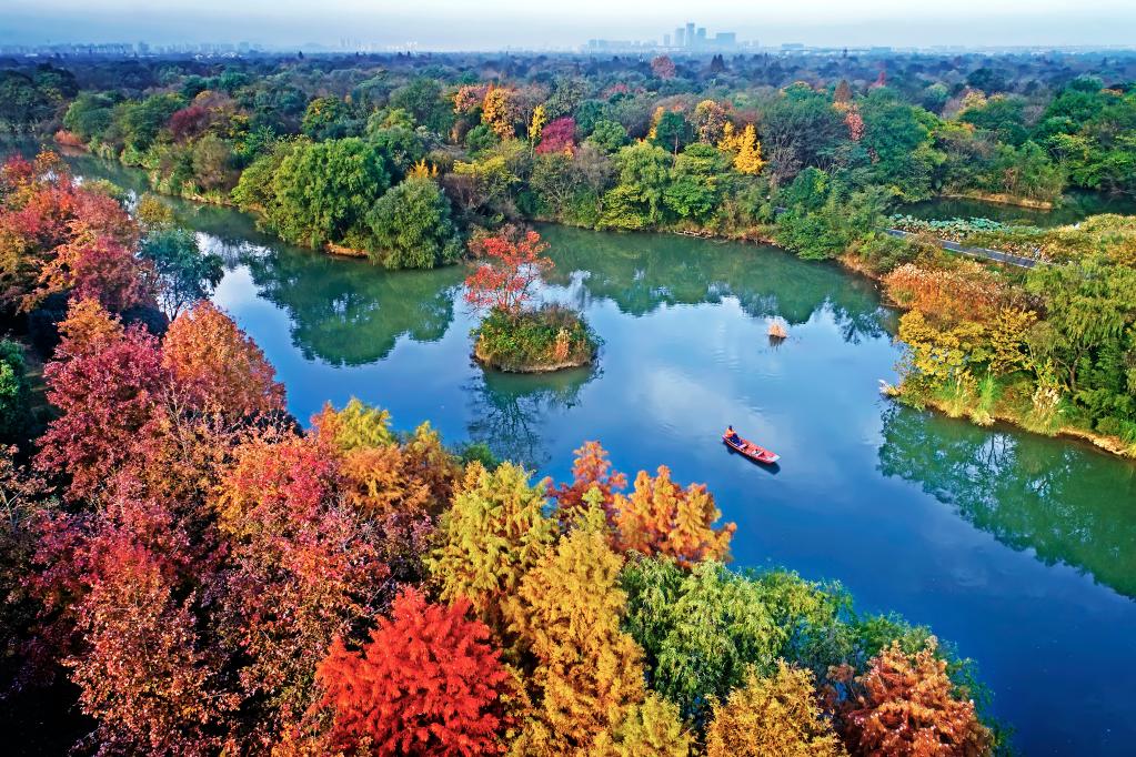 
北医六院黄牛代挂号电话票贩子号贩子网上预约挂号,住院检查加快,在水一方 大美湿地