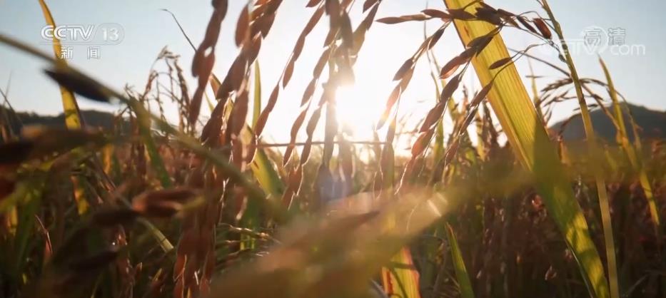 
上海第九人民医院黄牛代挂号电话票贩子号贩子网上预约挂号,住院检查加快,中国三十年履约 守约 践约的背后