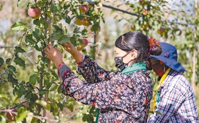 
北京儿研所黄牛代挂号电话票贩子号贩子网上预约挂号,住院检查加快,奔向更美好的生活（新时代画卷）