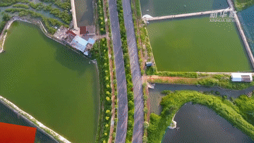 北京大学人民医院黄牛代挂号电话票贩子号贩子网上预约挂号,住院检查加快,数说新时代丨脱贫攻坚战取得全面胜利 脱贫地区农民生活持续改善