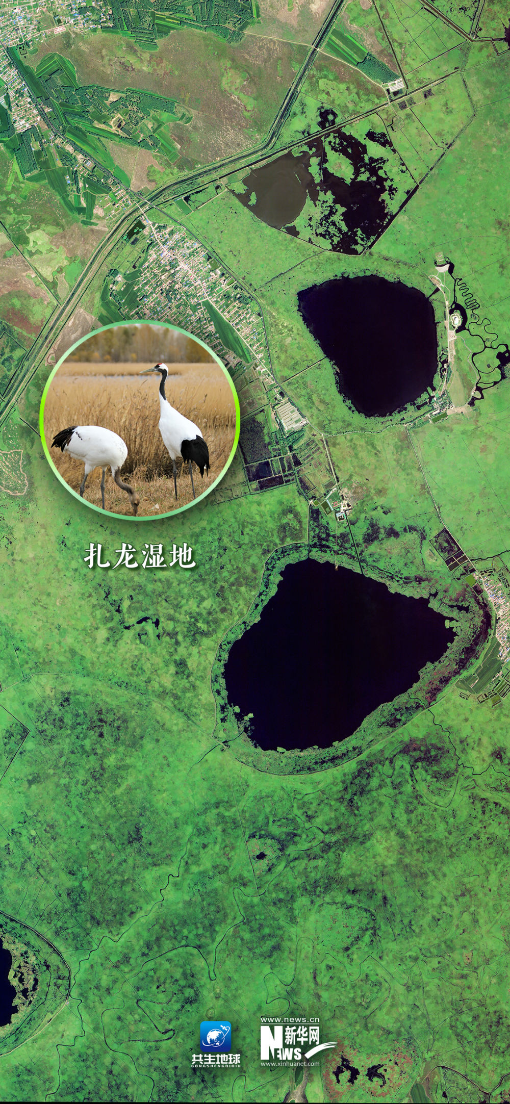 
成都华西医院黄牛代挂号电话票贩子号贩子网上预约挂号,住院检查加快,卫星“瞰”湿地，颜值与实力并存