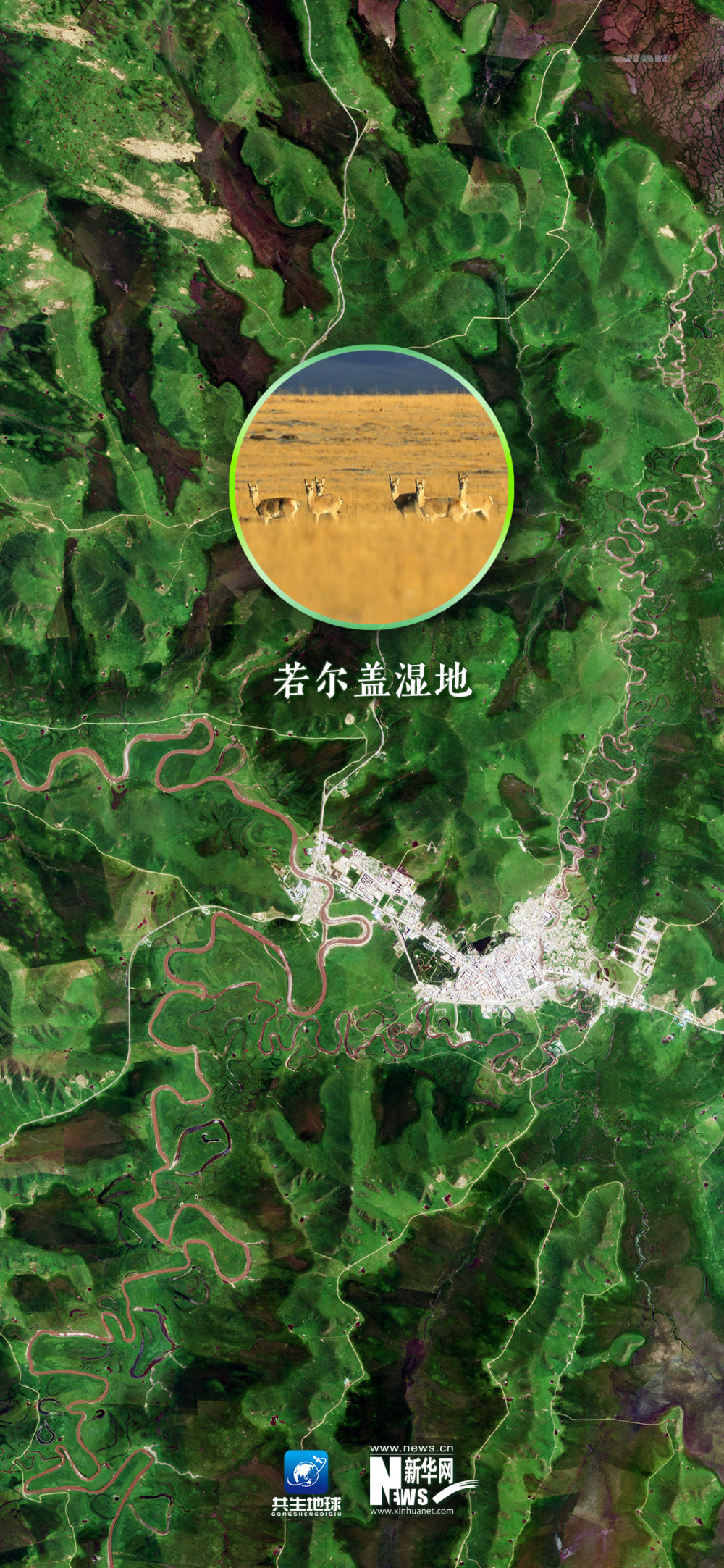 
成都华西医院黄牛代挂号电话票贩子号贩子网上预约挂号,住院检查加快,卫星“瞰”湿地，颜值与实力并存