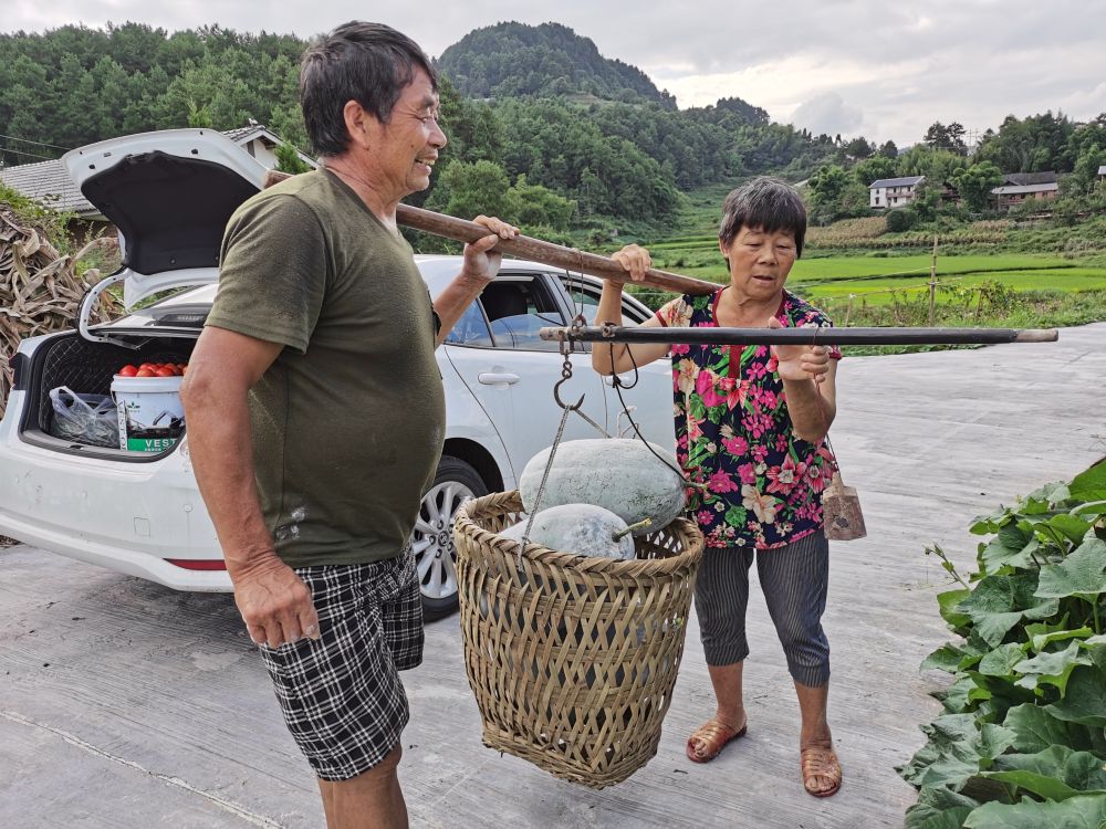 
沈阳各大医院黄牛代挂号电话票贩子号贩子网上预约挂号,住院检查加快,重庆綦江：老盐菜迎来乡村振兴新机遇
