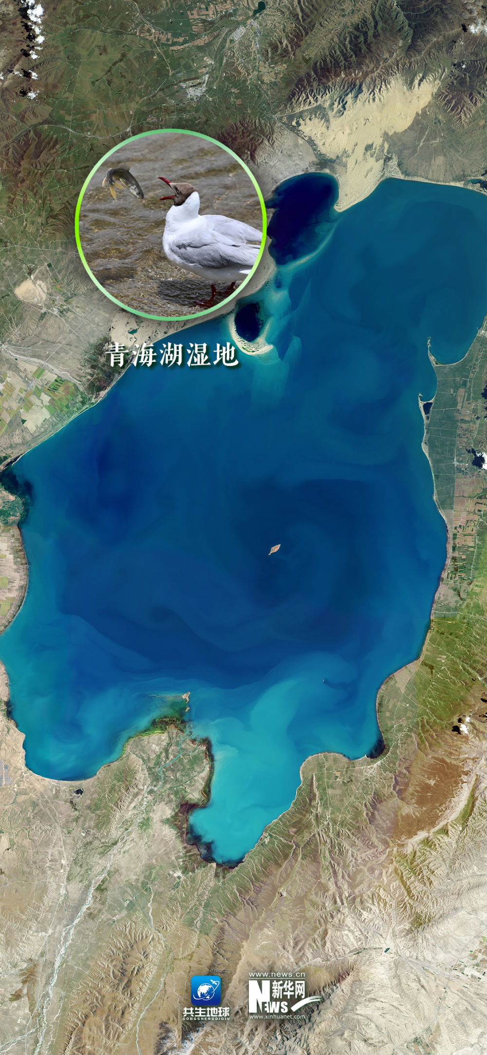 
成都华西医院黄牛代挂号电话票贩子号贩子网上预约挂号,住院检查加快,卫星“瞰”湿地，颜值与实力并存